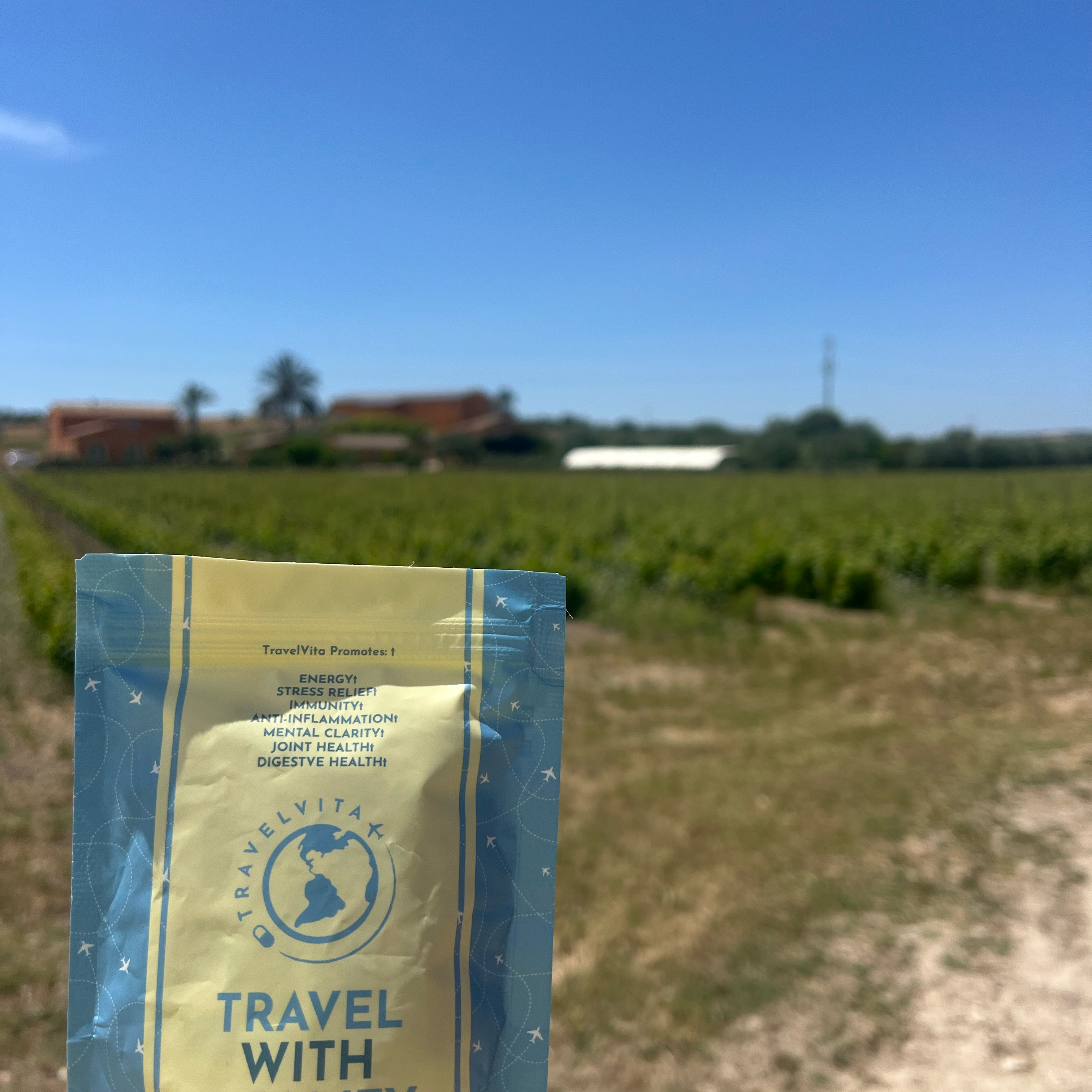 Family Vacay the TravelVita Way