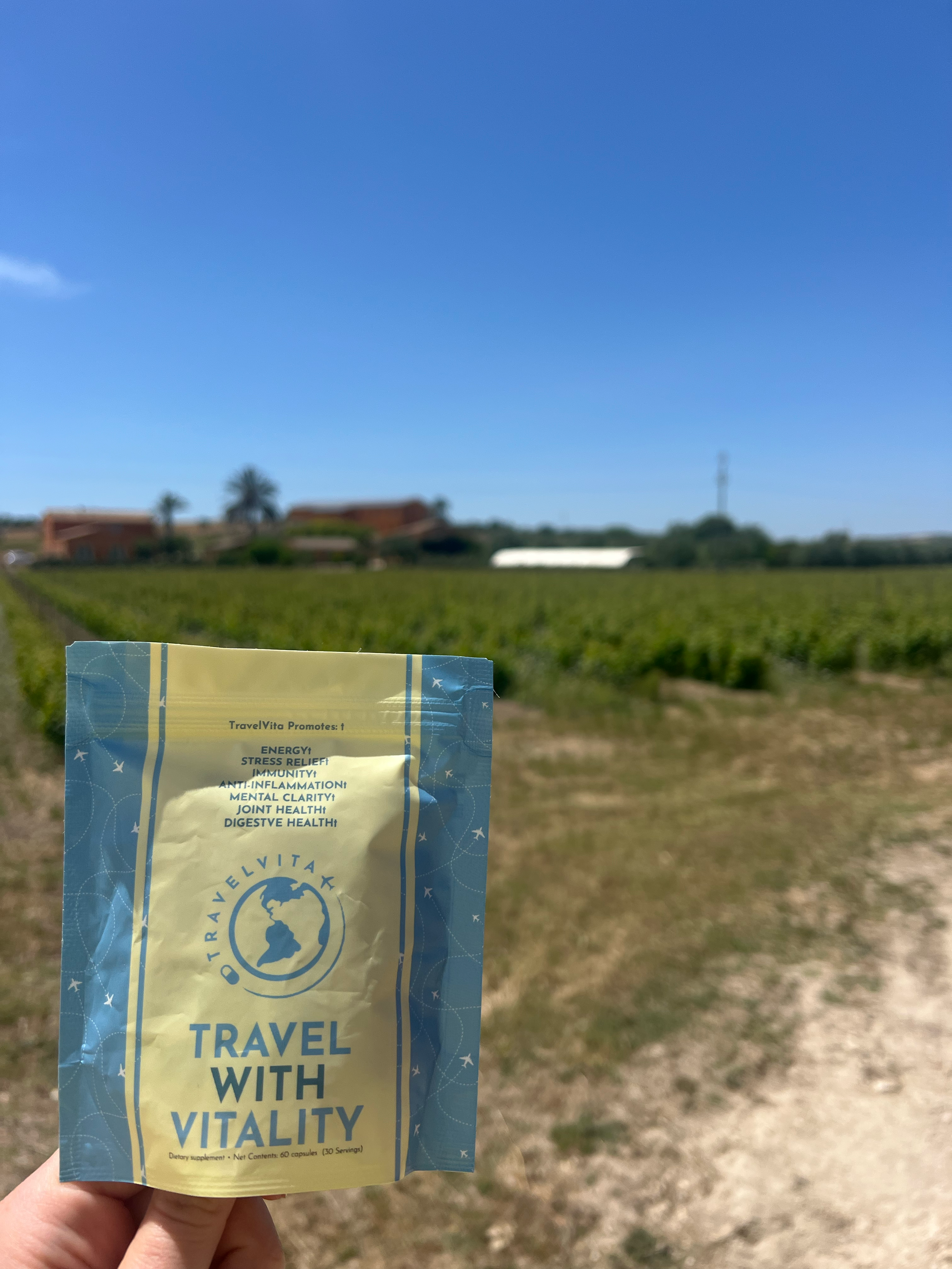 Family Vacay the TravelVita Way