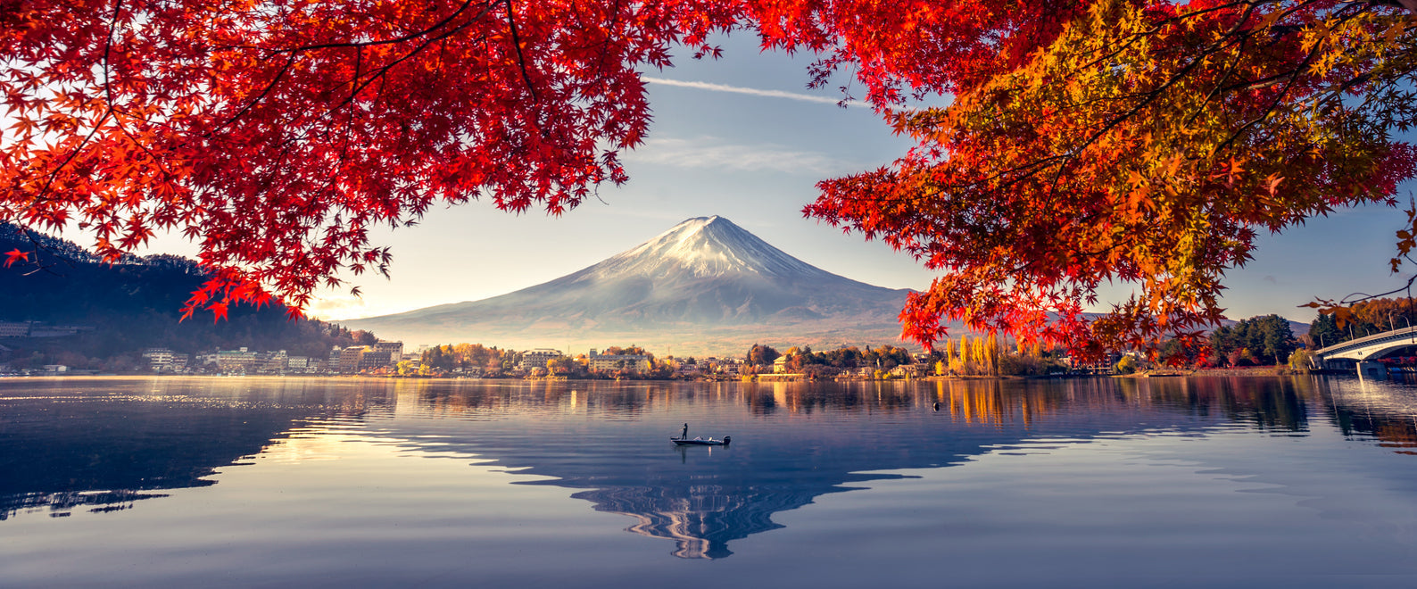 Feel Your Best Traveling to Japan: Our Essential Tips